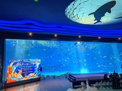 -上海海昌海洋公园
