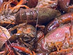 -聚盛源蒸汽海鲜火锅烤肉自助(巨川金海岸购物广场店)