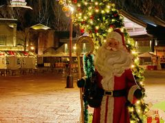 -疯克大象美式烤肉餐厅