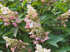 -长春公园(普阳街道)