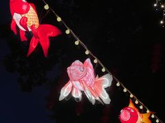 -香蜜公园