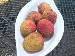 -梧桐餐厅(泉城路店)