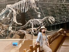 -世界恐龙谷景区