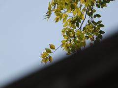 -广州市紫泥堂文化创意园景区