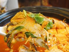 酸汤鱼-贵州大厦贵州厅(樱花园西街店)