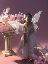 -花开映像儿童摄影