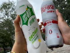 -回坊马二饺子馆