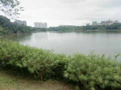 -广东花都湖国家湿地公园