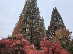 -白马涧龙池景区