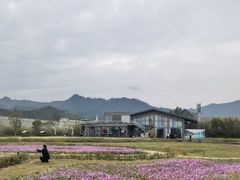 -禾悦庄餐厅