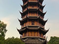 -红梅公园