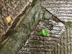 -焦山景区-万佛塔