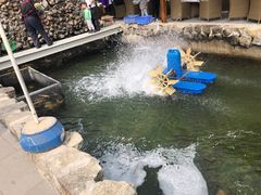 -京北渔家傲