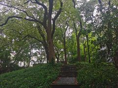 -徐家汇源景区-衡山公园