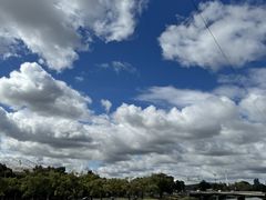 -墨尔本皇家植物园