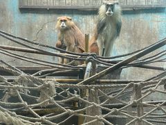 -青藏高原野生动物园