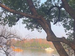 -西湖游船