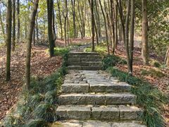 -梦姑塘文化公园