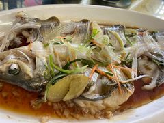 清蒸白水鱼-福满楼(锦溪古镇店)