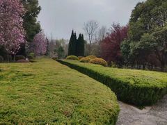 -洛阳市隋唐城遗址植物园