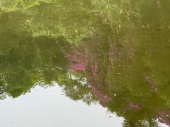 -燕晗山郊野公园