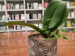 -二酉书店TOYOU BOOKS