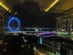 -新加坡文华东方酒店