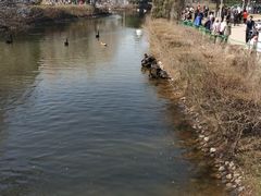 -长白岛森林公园