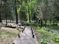 -东升八家郊野公园