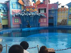 -华夏文旅海洋公园