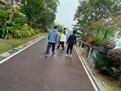 -美的鹭湖森林度假区