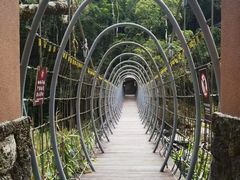 -海南热带雨林国家公园吊罗山景区
