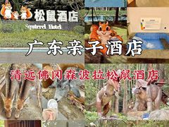 -佛冈森波拉度假区