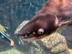 -太平洋海底世界