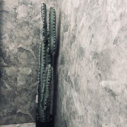 点击看大图 -AD HAIR