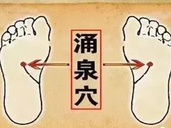 -裕和堂中医推拿艾灸(太古汇臻品店)