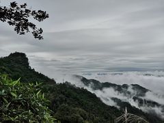 -梦幻奥陶纪景区