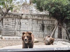 -灵玲国际马戏城