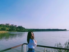 -丁香湖公园