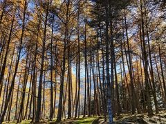 -硗碛藏寨·神木垒景区