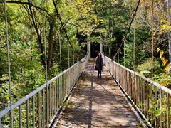 景点-帽儿山国家森林公园