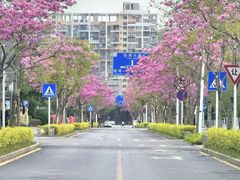 -万科前海企业公馆