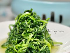 清炒鸡毛菜-淮扬韵(凤八市政府店)