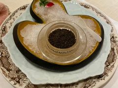 -西郊5号·Maggie 5