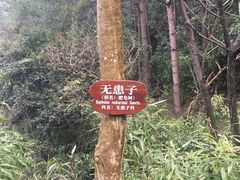 -溪口-滕头旅游景区