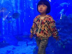 -成都浩海立方海洋公园