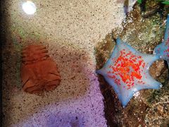 -沈阳海洋探索中心