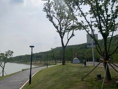 -羊山湖公园