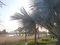 -五里桥文化公园-西侧停车场