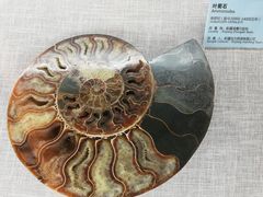-可可托海景区